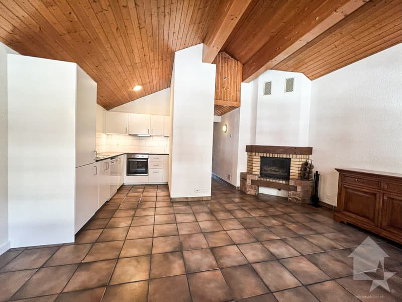 Bel appartement au centre du village de Grimentz (1)
