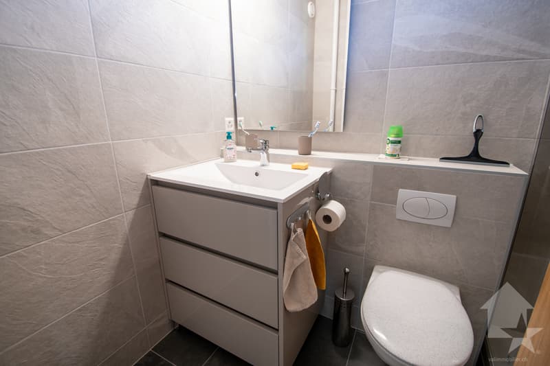 Salle d'eau avec douche