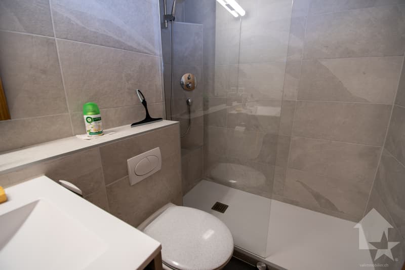 Salle d'eau avec douche
