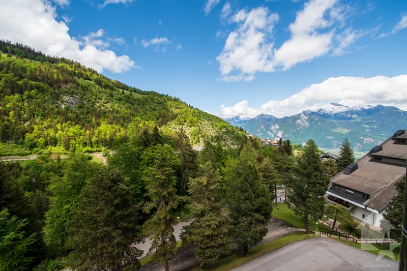Vue depuis la chambre