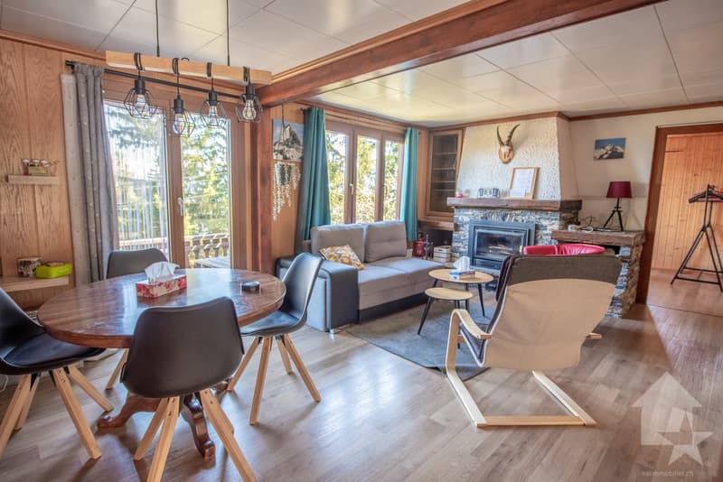 Charmant chalet de 2 appartements + dépendance, belle situation (5)