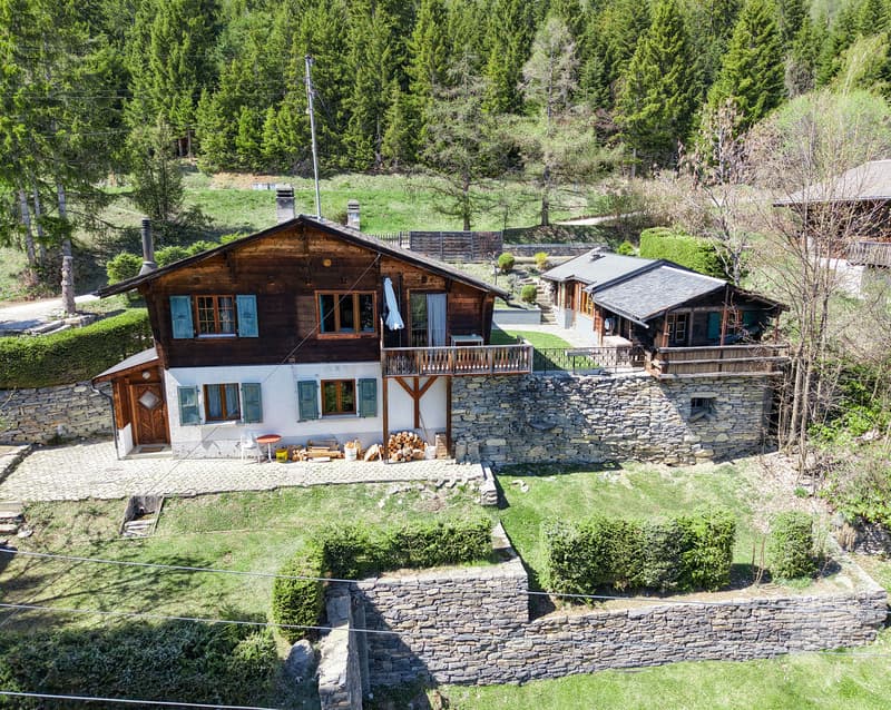 Charmant chalet de 2 appartements + dépendance, belle situation (1)