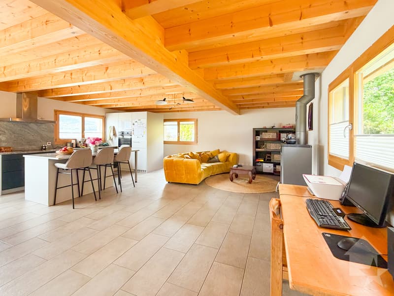 Superbe maison avec vue panoramique (5)
