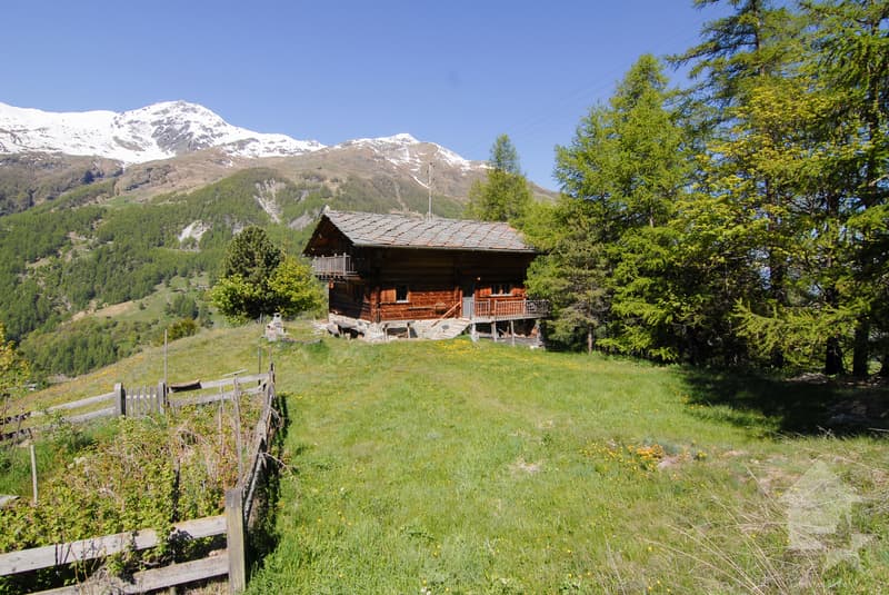 Chalet avec vue privilégiée sur les montagnes et les glaciers (1)