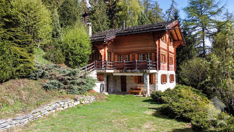 Séduisant chalet comprenant deux appartements - 5.5 et 2.5 pièces (1)