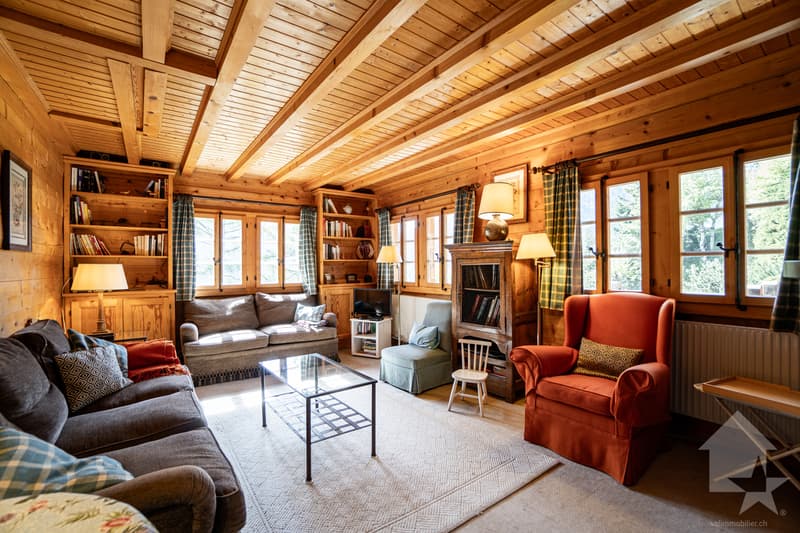 Séduisant chalet comprenant deux appartements - 5.5 et 2.5 pièces (4)