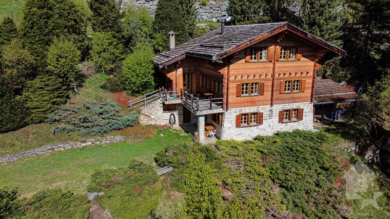 Séduisant chalet comprenant deux appartements - 5.5 et 2.5 pièces (2)