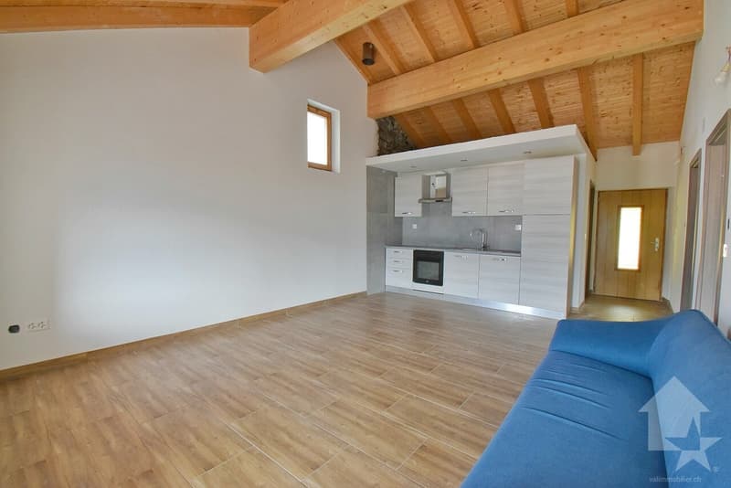 Immeuble de 2 appartements complètement rénové en 2025 ! (4)