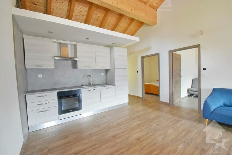 Immeuble de 2 appartements complètement rénové en 2025 ! (7)