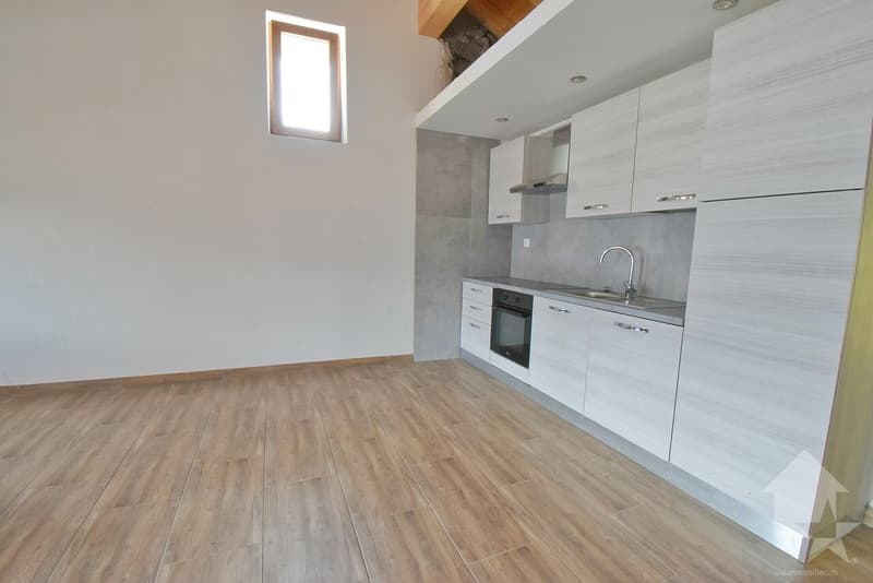 Maison de 2 appartements complètement rénovés en 2025 ! (8)