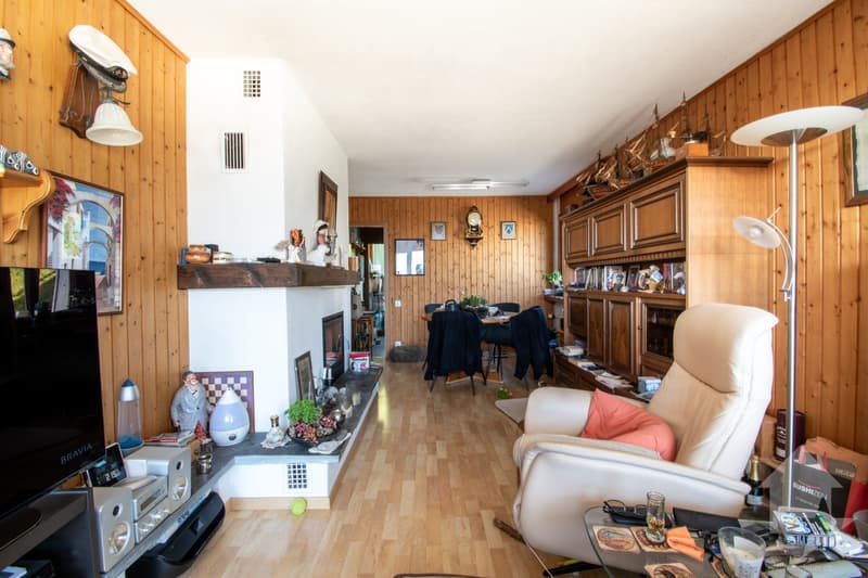 Charming 2.5-room apartment with large terrace (3)