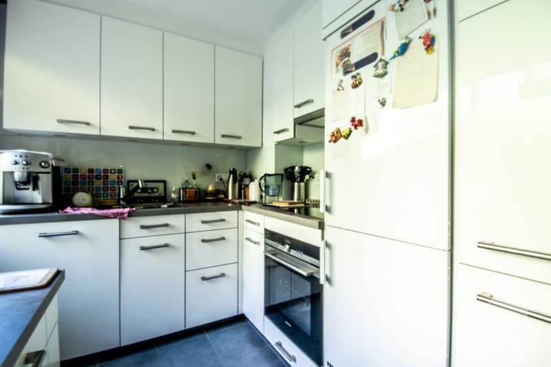 Charming 2.5-room apartment with large terrace (7)