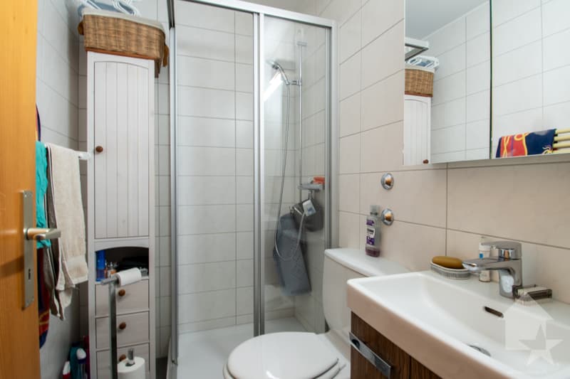 Charming 2.5-room apartment with large terrace (8)