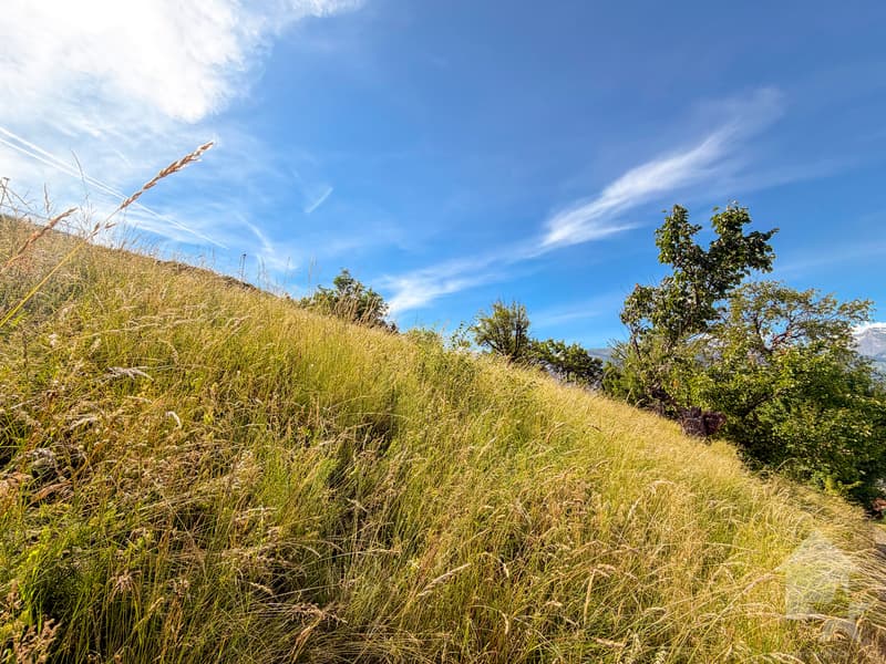 Terrain à bâtir de 625 m² - Vue panoramique sur les Alpes (5)