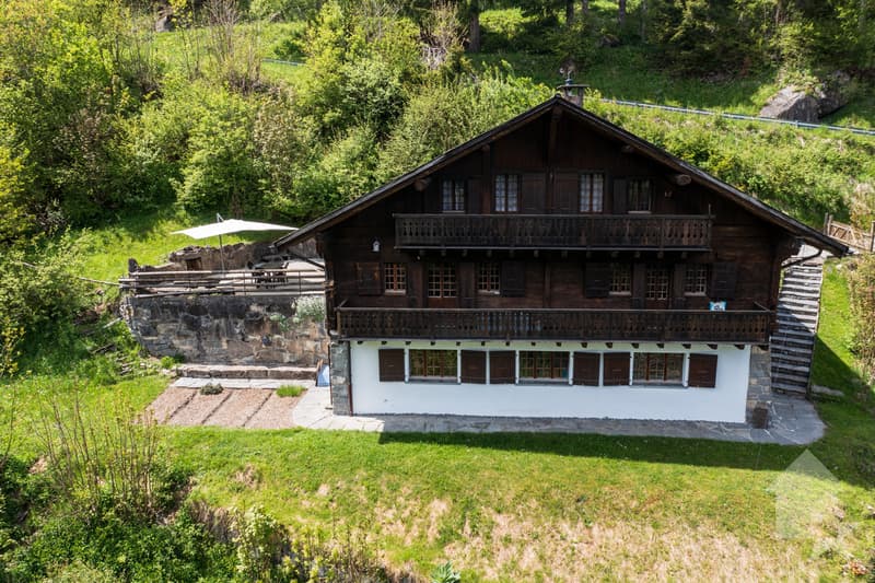 Spacious chalet in the heart of nature (1)