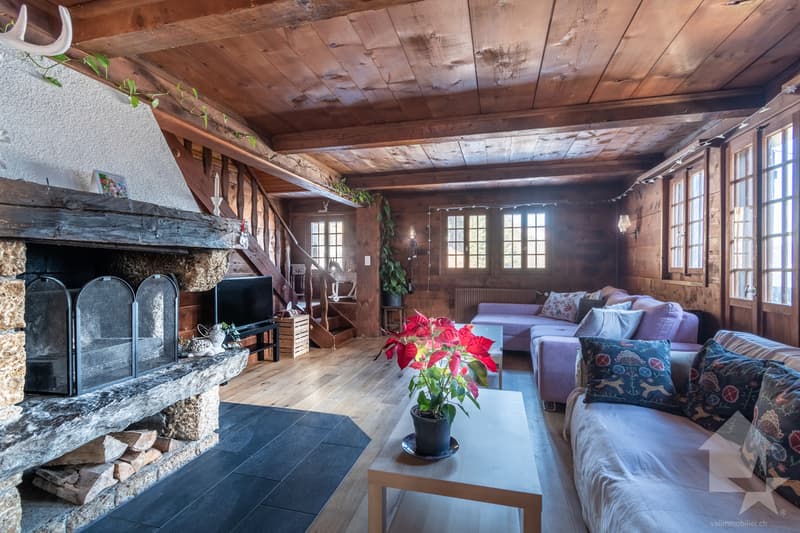 Spacious chalet in the heart of nature (3)