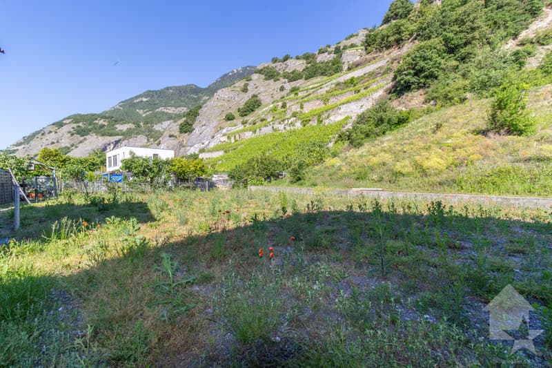 Rara opportunità di plasmare un pezzo di storia nel cuore del Vallese (5)