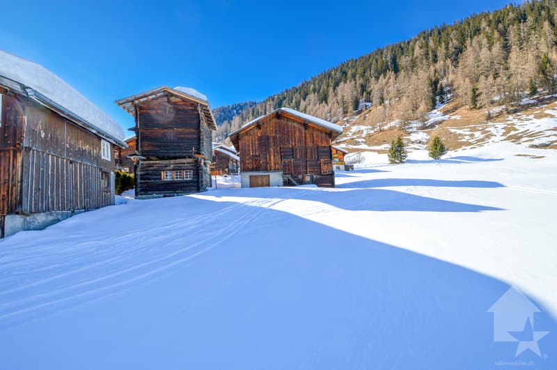 Étable traditionnelle pour les appartements de première résidence (3)