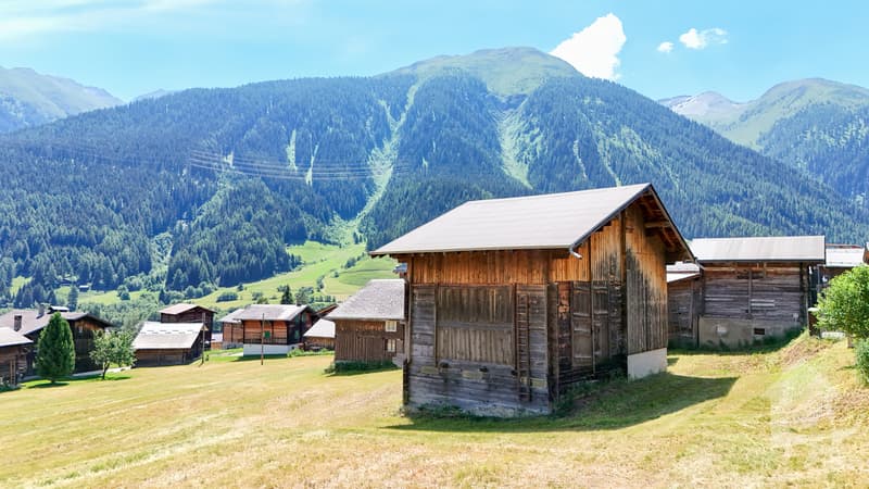 Stalla tradizionale per abitazioni principali (9)