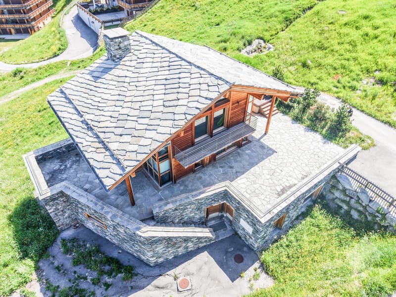 Magnifique chalet de grand standing directement sur les pistes de ski (6)
