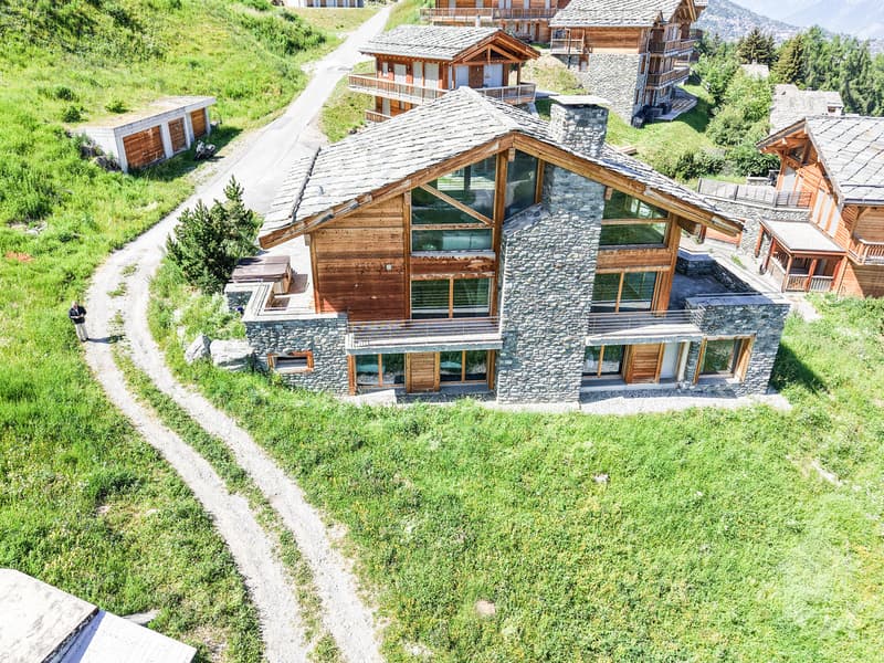 Magnifique chalet de grand standing directement sur les pistes de ski (4)