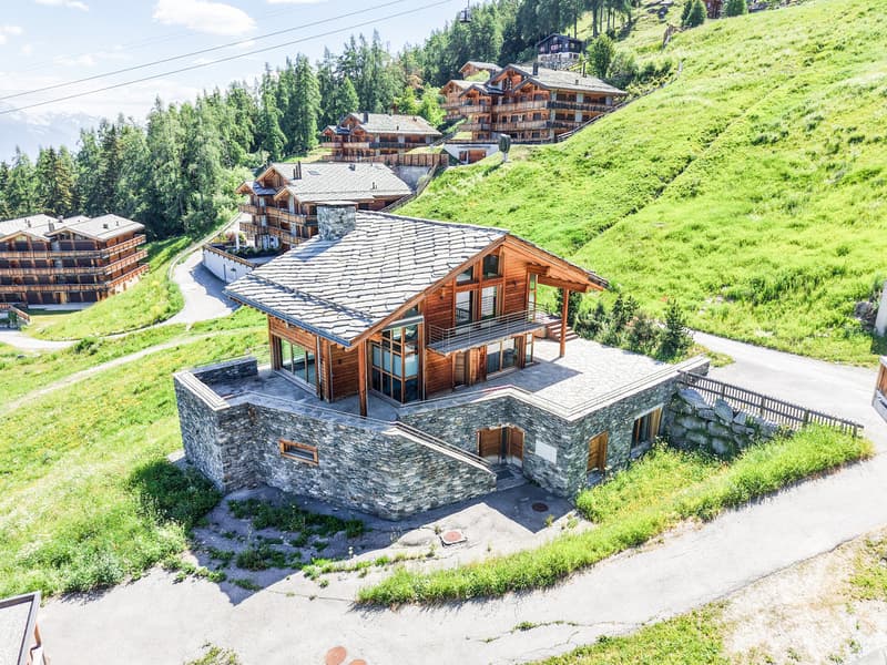 Magnifique chalet de grand standing directement sur les pistes de ski (2)