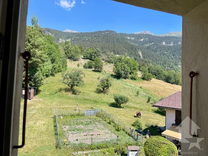 Maison ancienne en partie transformée: 1 duplex et 1 niveau à aménager (12)