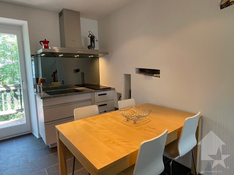 Maison ancienne en partie transformée: 1 duplex et 1 niveau à aménager (7)