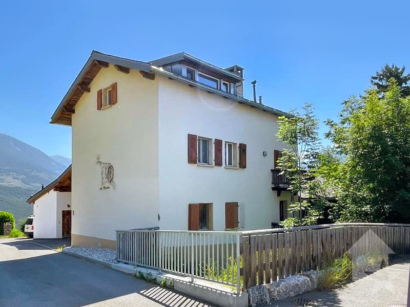 Maison ancienne en partie transformée: 1 duplex et 1 niveau à aménager (1)