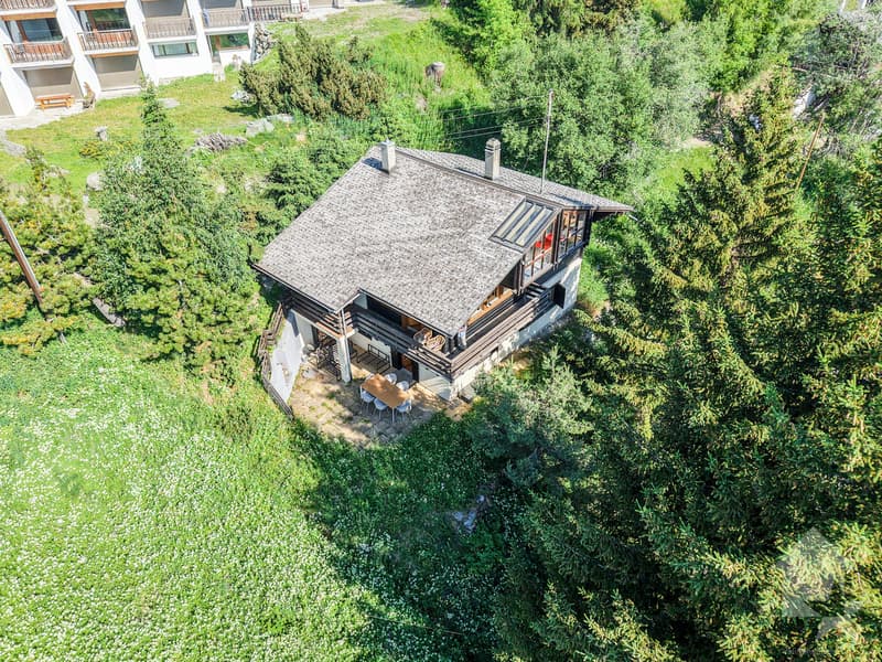 Charmant chalet aux centre des Collons (4)