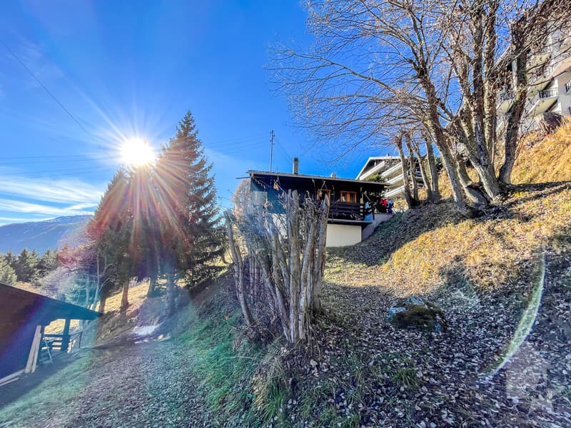 Charmant chalet aux centre des Collons (6)