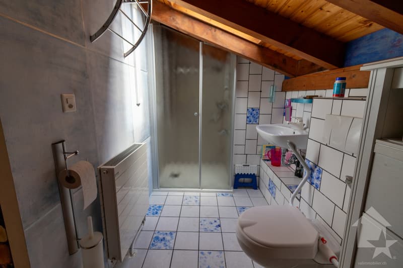 Schönes Einfamilienhaus mit Rasen und Garage (8)