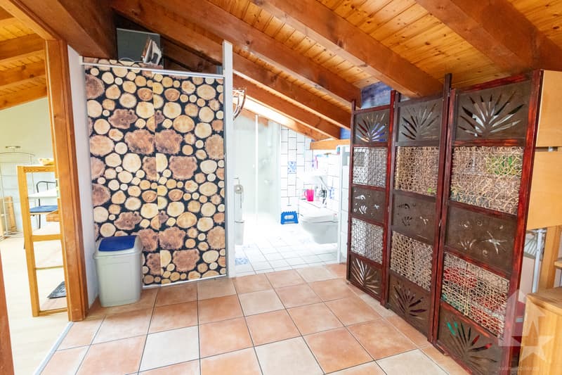 Schönes Einfamilienhaus mit Rasen und Garage (9)