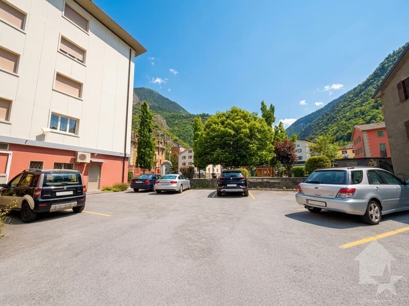 Appartement rénové de 3.5 pces avec place de parc (12)