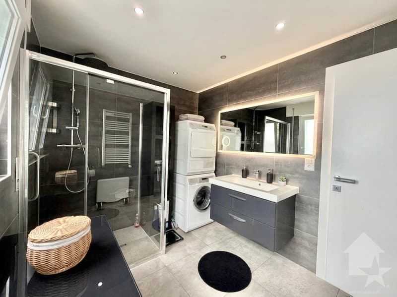 Appartement rénové de 3.5 pces avec place de parc (11)