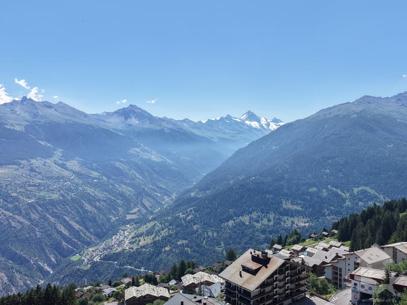 Appartement au pied des pistes des 4 Vallées avec vue panoramique (10)