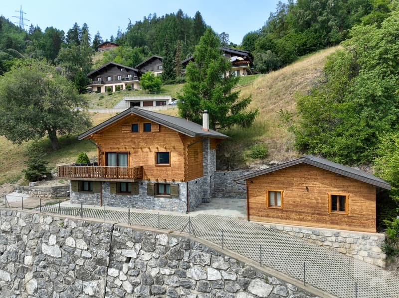 Magnificent fully renovated chalet (1)