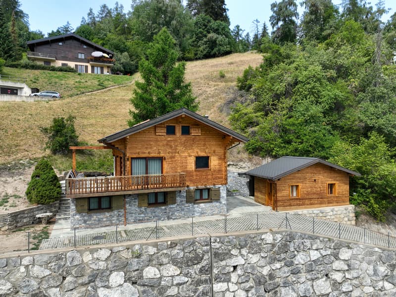 Magnificent fully renovated chalet (2)