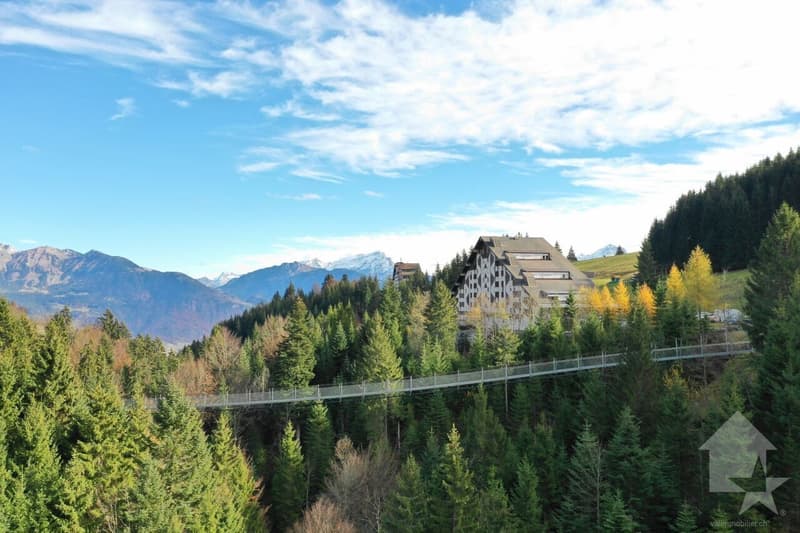 Torgon, 2 pezzi nella residenza "Les Savounettes" (1)
