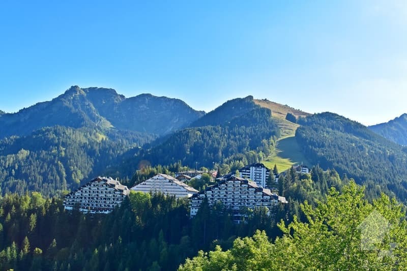 Torgon, 2 pezzi nella residenza "Les Savounettes" (10)