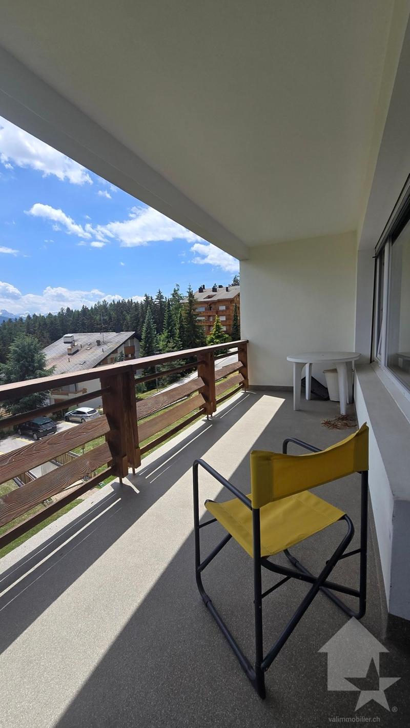 En plein centre ville, appartement lumineux avec balcon plein sud (10)