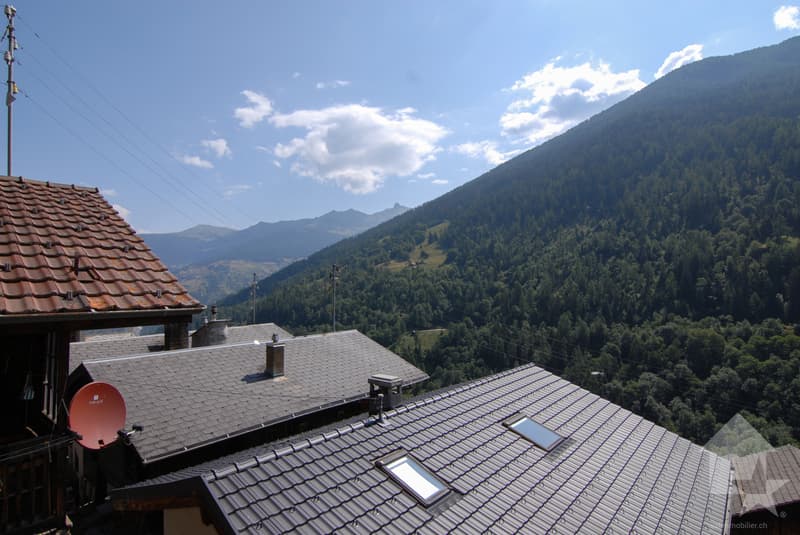 Charmant appartement au coeur du hameau de Mâche (11)