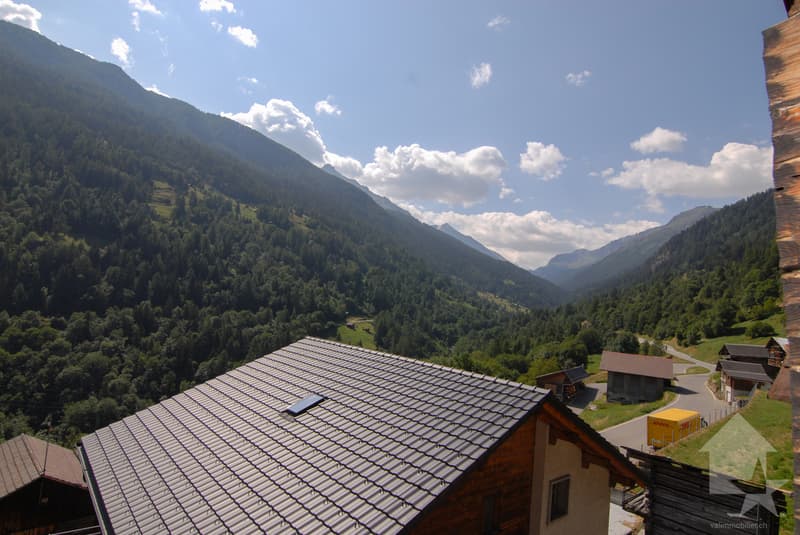 Charmant appartement au coeur du hameau de Mâche (10)