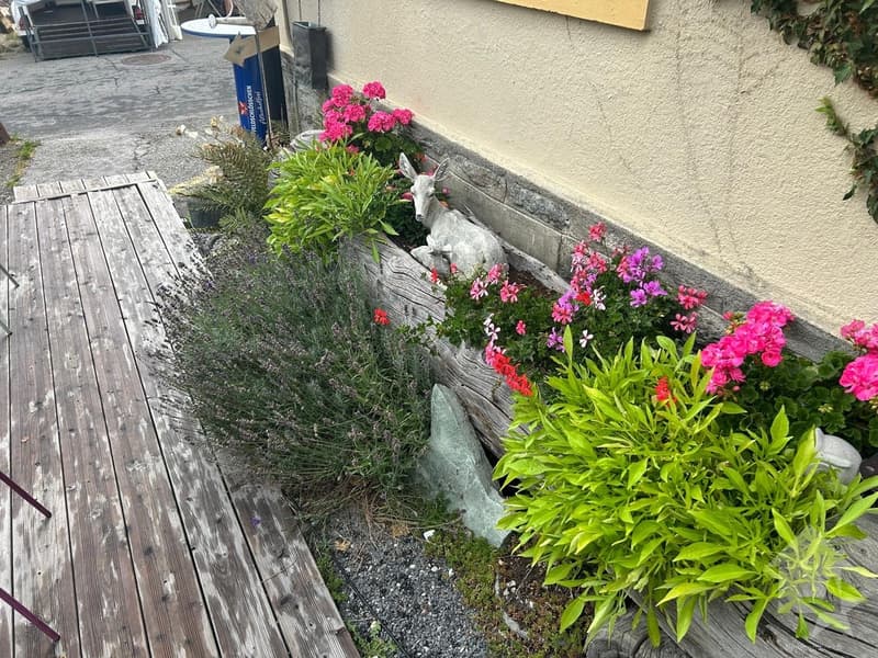 Bella opportunità: Café-Restaurant a Veysonnaz villaggio (13)