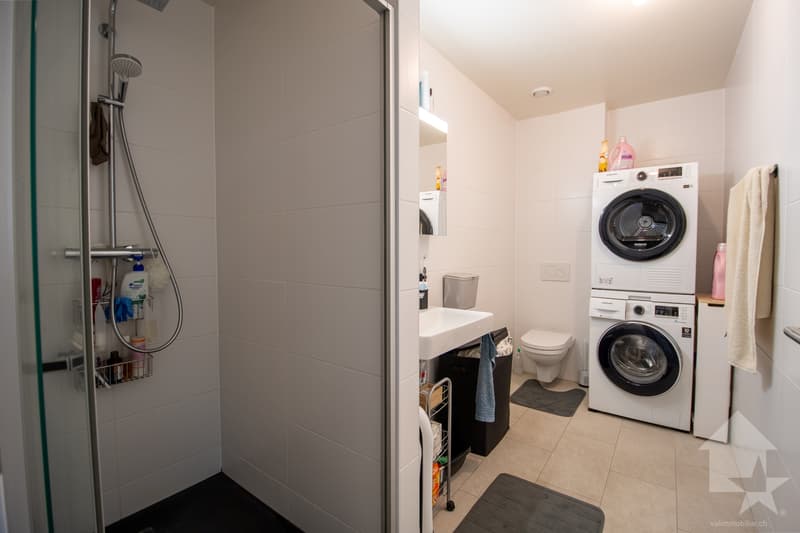 Spacious ground-floor apartment in a quiet environment (10)