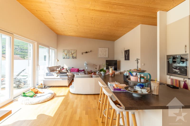 Charmant attique 5.5 pièces avec terrasse (4)