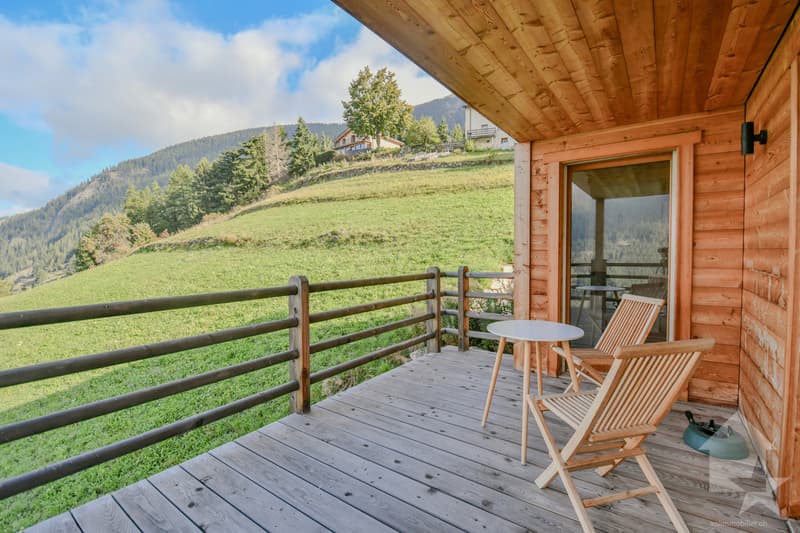 Splendid 275 m2 chalet in the heart of nature (10)