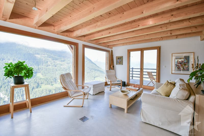 Splendid 275 m2 chalet in the heart of nature (3)