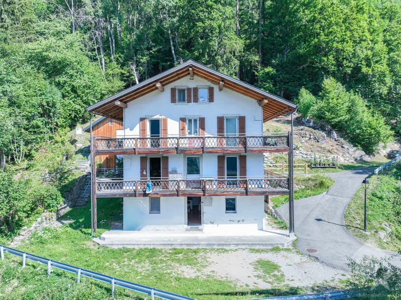 Appartement de 3.5 pièces avec vue sur le glacier de Trient (11)