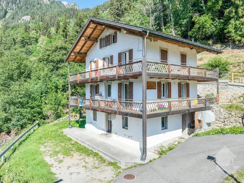 Appartement de 3.5 pièces avec vue sur le glacier de Trient (10)